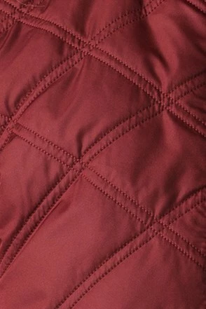 prAna Esla Insulated Vest - Women's 8 prAna Esla Insulated Vest - Women's - Image 6